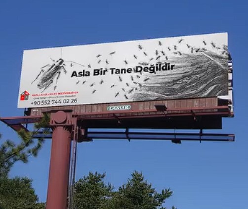 windr-digital-strategy